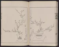 An illustration from Inchū-ryū sōka kagami (1868)