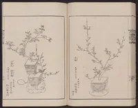 An illustration from Inchū-ryū sōka kagami (1868)