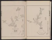 Picture 4 of 17 from Inchū-ryū sōka kagami (1868), leaf 10