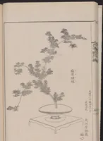 An illustration from Inchū-ryū sōka kagami (1868)