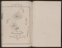 An illustration from Inchū-ryū sōka kagami (1868)