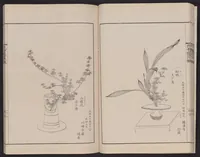 An illustration from Inchū-ryū sōka kagami (1868)
