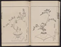 An illustration from Inchū-ryū sōka kagami (1868)