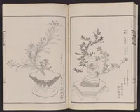 An illustration from Inchū-ryū sōka kagami (1868)