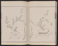 An illustration from Inchū-ryū sōka kagami (1868)