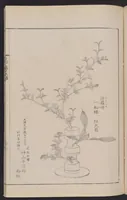 An illustration from Inchū-ryū sōka kagami (1868)