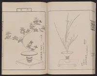 Picture 13 of 17 from Inchū-ryū sōka kagami (1868), leaf 37