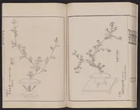 Picture 16 of 17 from Inchū-ryū sōka kagami (1868), leaf 45