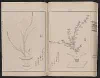 An illustration from Inchū-ryū sōka kagami (1868)