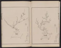 An illustration from Inchū-ryū sōka kagami (1868)