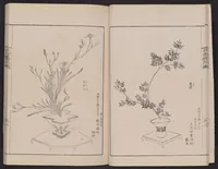 An illustration from Inchū-ryū sōka kagami (1868)