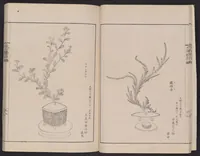 An illustration from Inchū-ryū sōka kagami (1868)