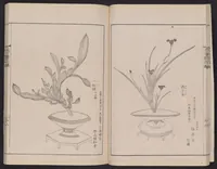 An illustration from Inchū-ryū sōka kagami (1868)
