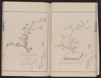 An illustration from Inchū-ryū sōka kagami (1868)