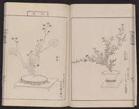 An illustration from Inchū-ryū sōka kagami (1868)