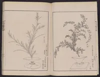 An illustration from Inchū-ryū sōka kagami (1868)