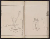 An illustration from Inchū-ryū sōka kagami (1868)