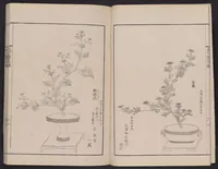 An illustration from Inchū-ryū sōka kagami (1868)