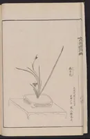 An illustration from Inchū-ryū sōka kagami (1868)