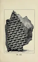 Picture 7 of 12 from Incwadi Yami; or, Twenty years' personal experience in South Africa (1887), leaf 181