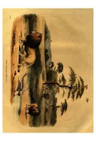 An illustration from Portraits of the Game and Wild Animals of Southern Africa; delineated from Life in their Native Haunts, during a Hunting Expedition from the Cape Colony far as the Tropic of Capricon, in the Years 1836 and 1837 (1840)