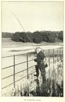 An illustration from Pike and Perch, with chapters by ‘John Bickerdyke’ and W. H. Pope; Cookery by Alexander Inns Shand- Fur, Feather and Fin Series (1900)