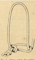 Picture 3 of 12 from Illustrated Horse-Breaking, 3rd ed. (1905), leaf 139