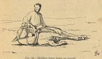 Picture 7 of 12 from Illustrated Horse-Breaking, 3rd ed. (1905), leaf 170