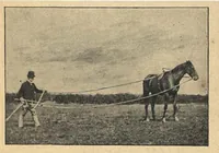 An illustration from Illustrated Horse-Breaking, 3rd ed. (1905)