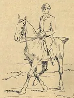 Picture 12 of 12 from Illustrated Horse-Breaking, 3rd ed. (1905), leaf 291