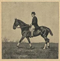An illustration from Illustrated Horse-Breaking, 3rd ed. (1905)