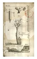 Picture 4 of 5 from Aviceptologie Francaise (1818), leaf 200