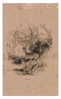 An illustration from Tour In Sutherlandshire (1849)
