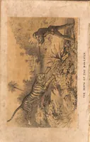 Picture 4 of 10 from The Hunting Grounds of the Old World, 1st Series, 2nd ed. (1860), leaf 157