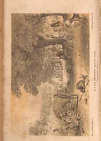 An illustration from The Hunting Grounds of the Old World, 1st Series, 2nd ed. (1860)