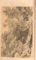 An illustration from The Hunting Grounds of the Old World, 1st Series, 2nd ed. (1860)