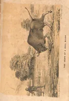 Picture 9 of 10 from The Hunting Grounds of the Old World, 1st Series, 2nd ed. (1860), leaf 362