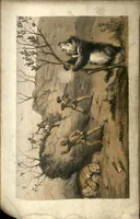 Picture 5 of 9 from Tiger-Shooting in India; being an Account of Hunting Experiences on Foot in Rajpootana, during the Hot Seasons from 1850 to 1854 (1857), leaf 104
