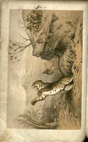 Picture 6 of 9 from Tiger-Shooting in India; being an Account of Hunting Experiences on Foot in Rajpootana, during the Hot Seasons from 1850 to 1854 (1857), leaf 125