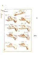 An illustration from Scoperta Della Chironomia ossia Dell’ Arte di Gestire con le Mani, dell’ abate (1797)