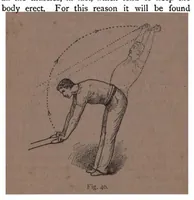 Picture 8 of 11 from Home Gymnastics for Young and Old (1892), leaf 134
