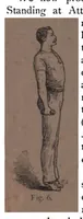 An illustration from Home Gymnastics for Young and Old (1892)