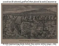 Picture 2 of 9 from Shooting, Moor and Marsh, 4th ed. (the Badminton Library of Sports and Pastimes) (1893), leaf 40