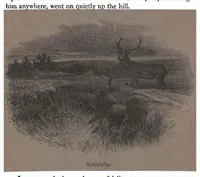 Picture 4 of 9 from Shooting, Moor and Marsh, 4th ed. (the Badminton Library of Sports and Pastimes) (1893), leaf 98