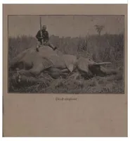 Picture 4 of 5 from Big Game Shooting, 2nd ed., Vol. I (the Badminton Library of Sports and Pastimes) (1895), leaf 254