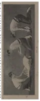 An illustration from Swimming (the Badminton Library of Sports and Pastimes) (1893)