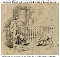 Picture 4 of 13 from Coursing and Falconry (the Badminton Library of Sports and Pastimes) (1892), leaf 100