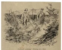 An illustration from Coursing and Falconry (the Badminton Library of Sports and Pastimes) (1892)