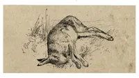 Picture 8 of 13 from Coursing and Falconry (the Badminton Library of Sports and Pastimes) (1892), leaf 252