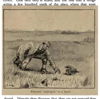 Picture 10 of 13 from Coursing and Falconry (the Badminton Library of Sports and Pastimes) (1892), leaf 290